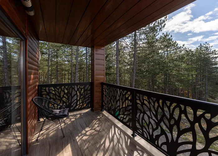 Βίλα Aleksandrija