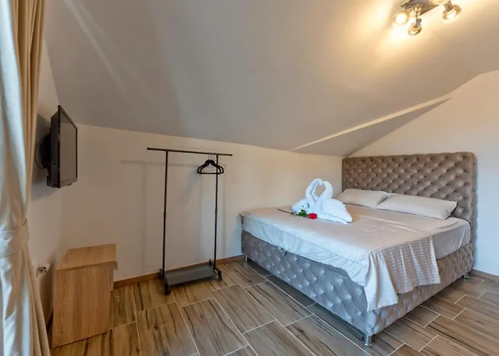 Aleksandrija * Ζλάτιμπορ