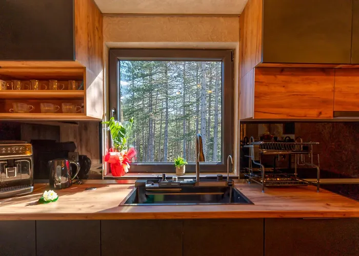 Aleksandrija Ζλάτιμπορ